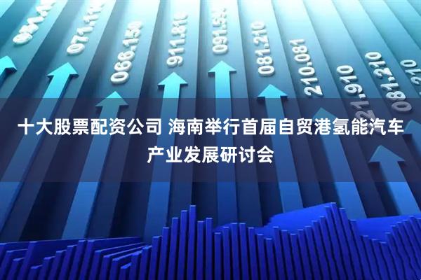 十大股票配资公司 海南举行首届自贸港氢能汽车产业发展研讨会
